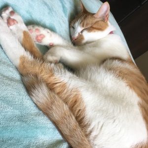 Meet your Posher, Vanessa